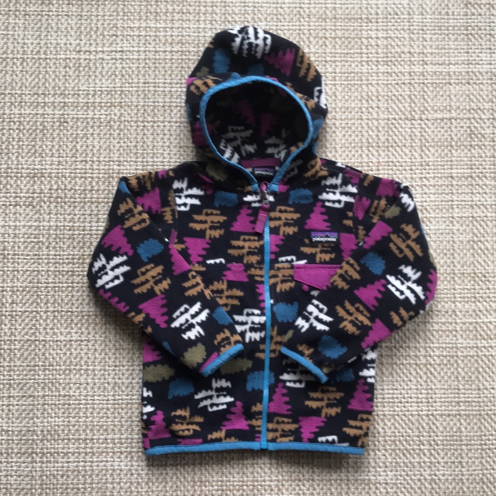 Patagonia Fleece Jacket (size 2T)